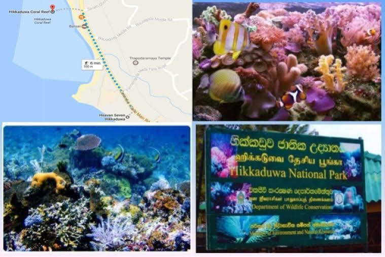 Lucky Seven Beach Resort Hikkaduwa Esterno foto